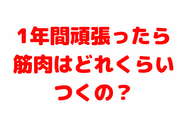 1年間頑張ったら、筋肉はどれくらいつくの？