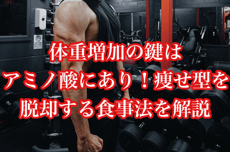 体重増加の鍵はアミノ酸にあり！痩せ型を脱却する食事法を解説